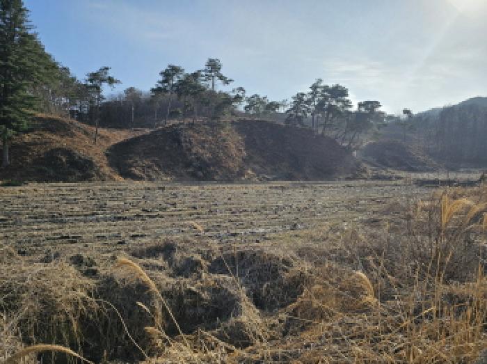 충주지원 2025타경30399-2 사진
