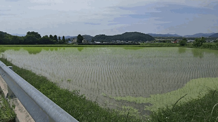 충주지원 2025타경30555-2 사진