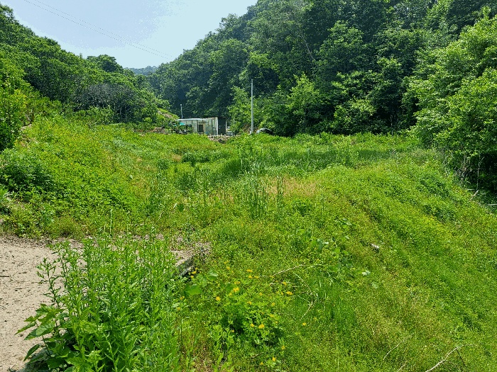 충주지원 2025타경30567-3 사진