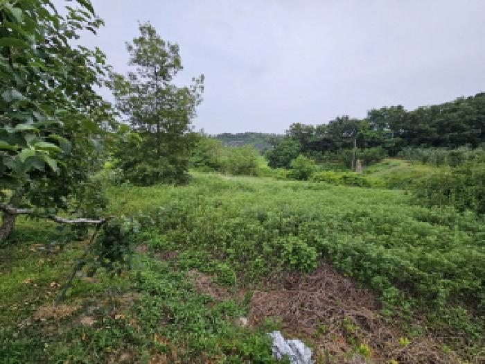 충주지원 2025타경30580-1 사진