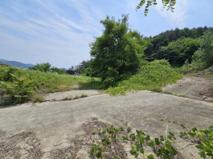 충주지원 2025타경30606-1 사진