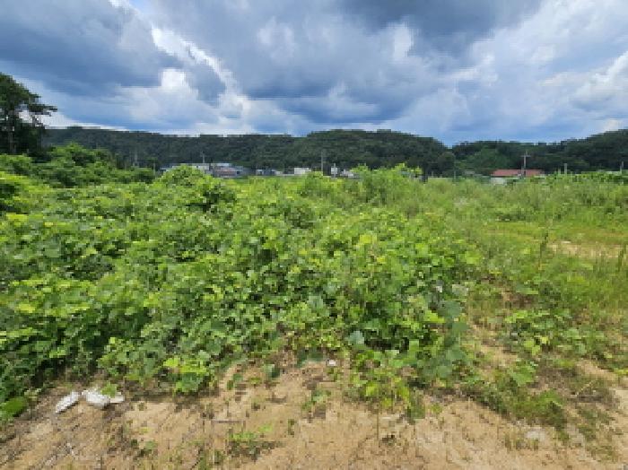 충주지원 2025타경30655-2 사진