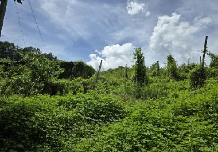 충주지원 2025타경30663-1 사진