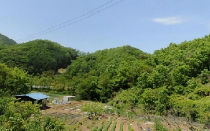 충주지원 2025타경30672-1 사진