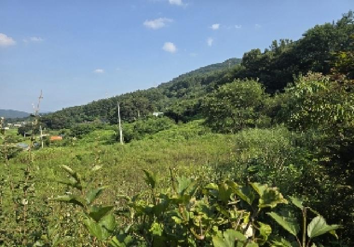 충주지원 2025타경30696-1 사진