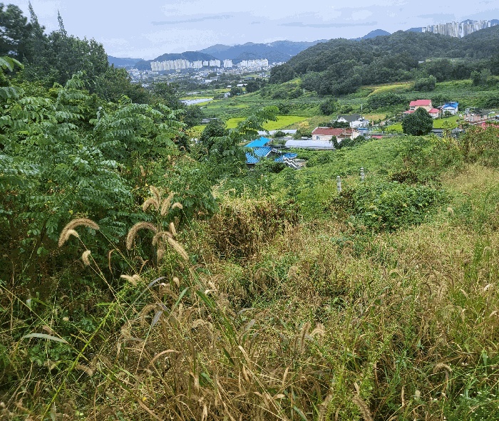 충주지원 2025타경30780-1 사진