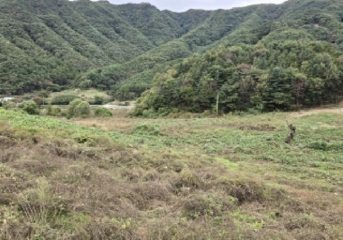 충주지원 2025타경30828-1 사진