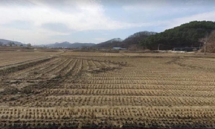 충주지원 2025타경30882-1 사진