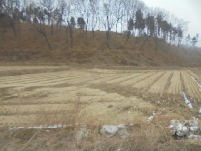 충주지원 2026타경12-1 사진