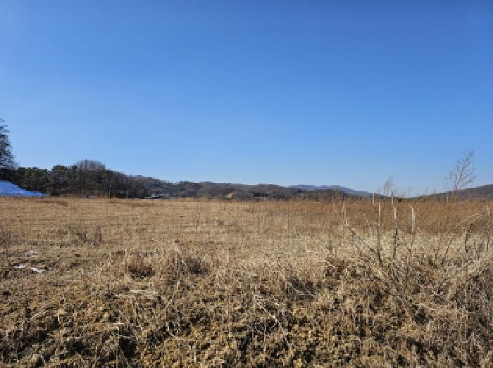 충주지원 2026타경30042-1 사진