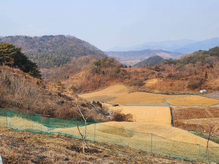제천지원 2024타경1834-3 사진