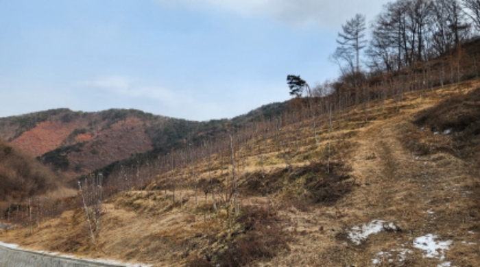 제천지원 2024타경1841-1 사진