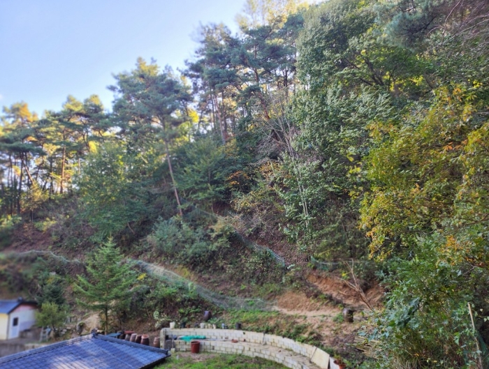 제천지원 2024타경7351-1 사진