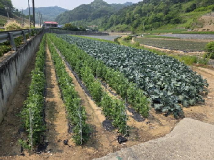 제천지원 2025타경102-1 사진