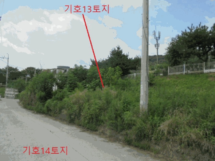 제천지원 2025타경136-2 사진