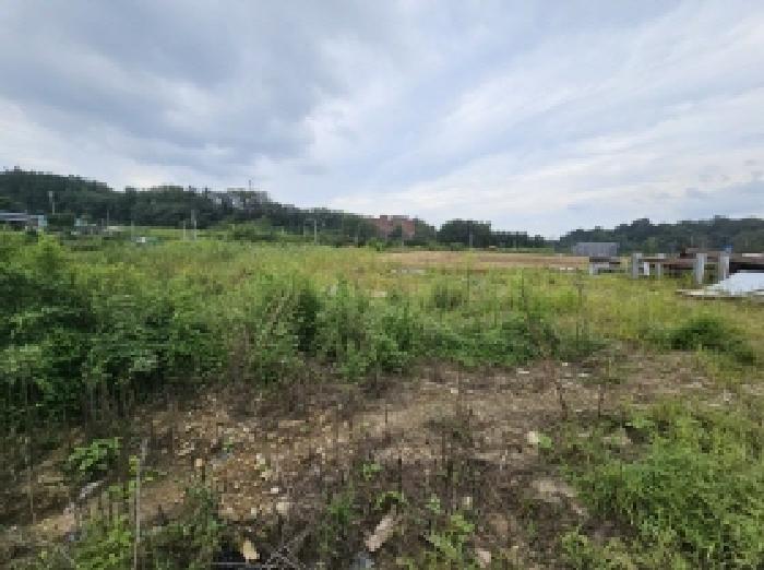 제천지원 2025타경155-1 사진