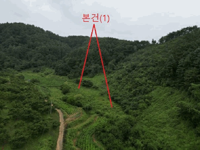 제천지원 2025타경156-1 사진