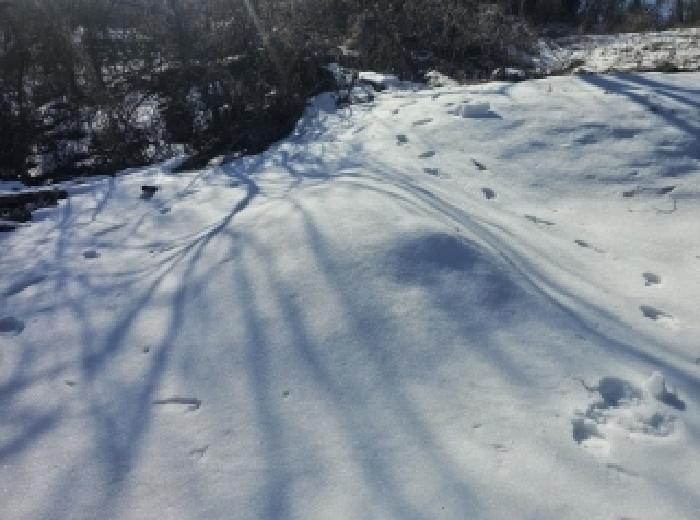제천지원 2025타경5161-1 사진