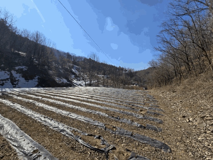 제천지원 2025타경5252-1 사진