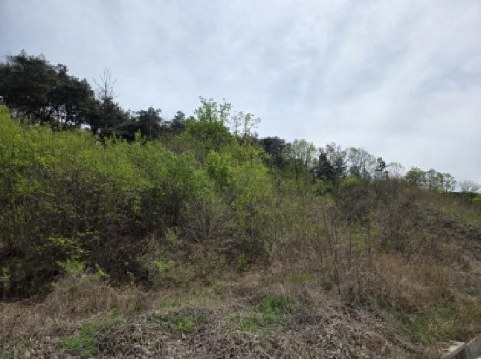 제천지원 2025타경5300-1 사진