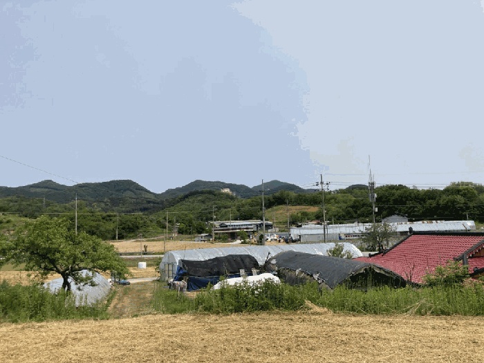 제천지원 2025타경5327-1 사진