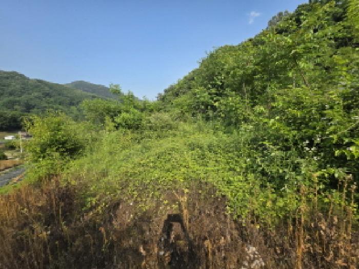 제천지원 2025타경5340-1 사진