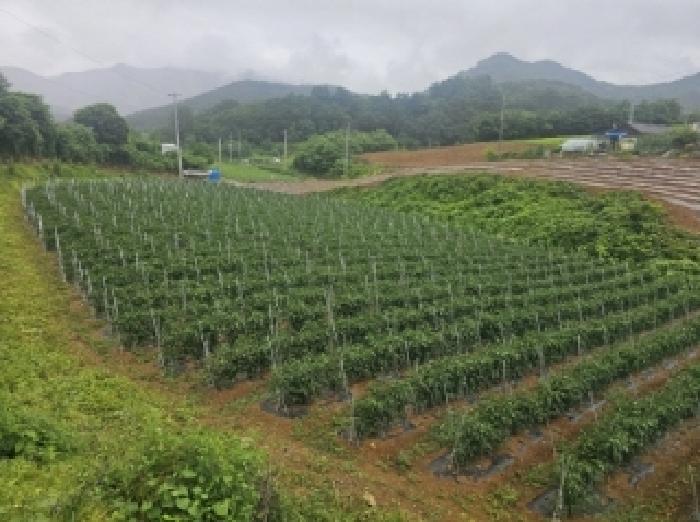 제천지원 2025타경5341-1 사진