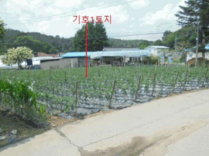 제천지원 2025타경5342-2 사진