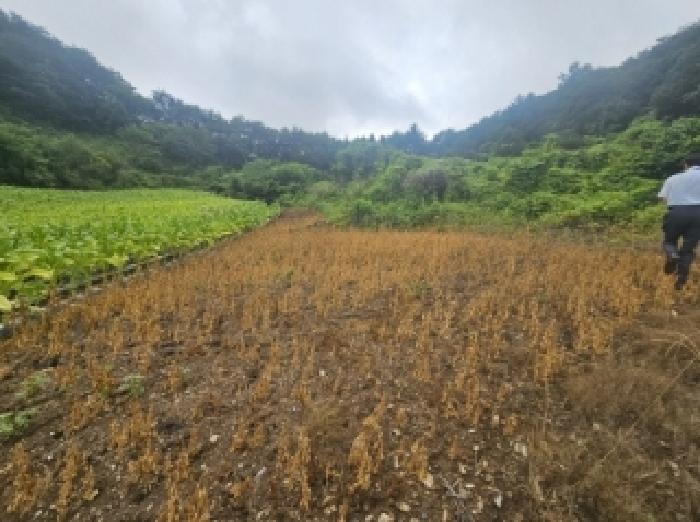 제천지원 2025타경5358-1 사진