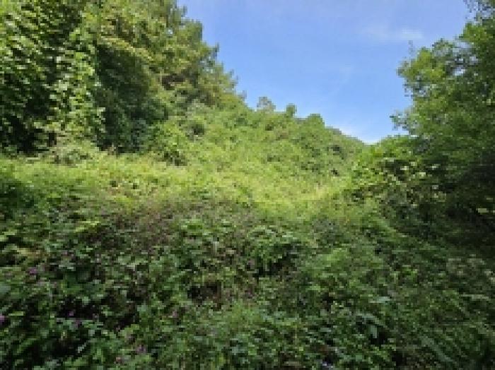 제천지원 2025타경5410-1 사진