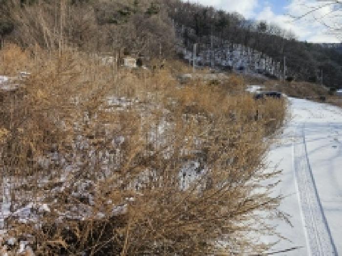 제천지원 2025타경5512-1 사진