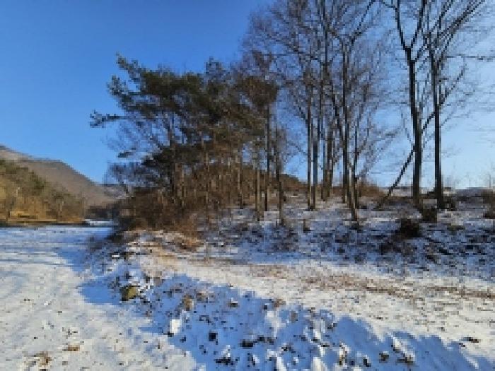 제천지원 2026타경5010-1 사진