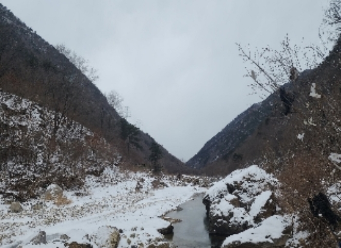 영동지원 2024타경11636-1 사진
