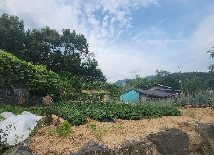 영동지원 2025타경88-1 사진