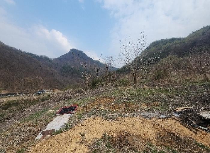 영동지원 2025타경10117-1 사진
