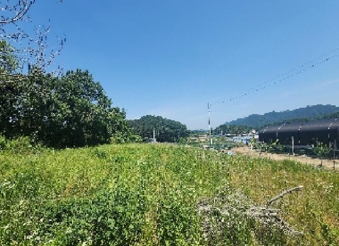 영동지원 2025타경10146-2 사진