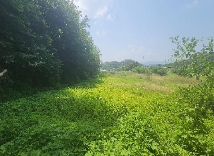 영동지원 2025타경10161-2 사진