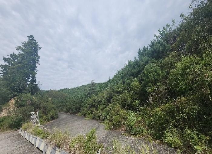 영동지원 2025타경10208-1 사진