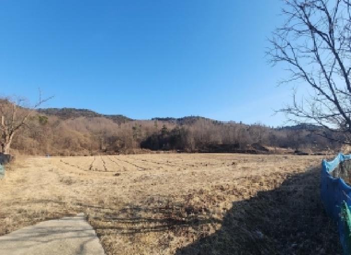 영동지원 2026타경10012-1 사진
