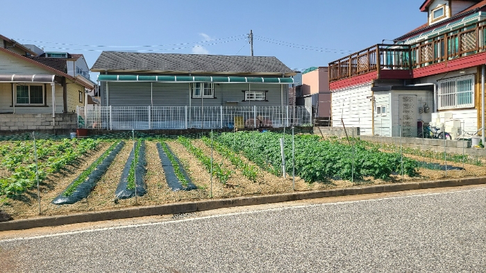 대전지법 2023타경104072-2 사진