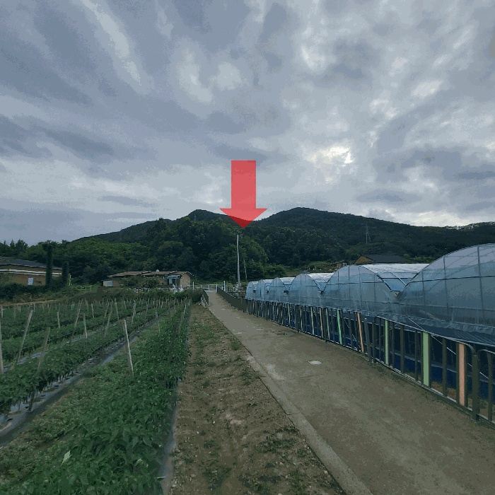 대전지법 2025타경3616-1 사진