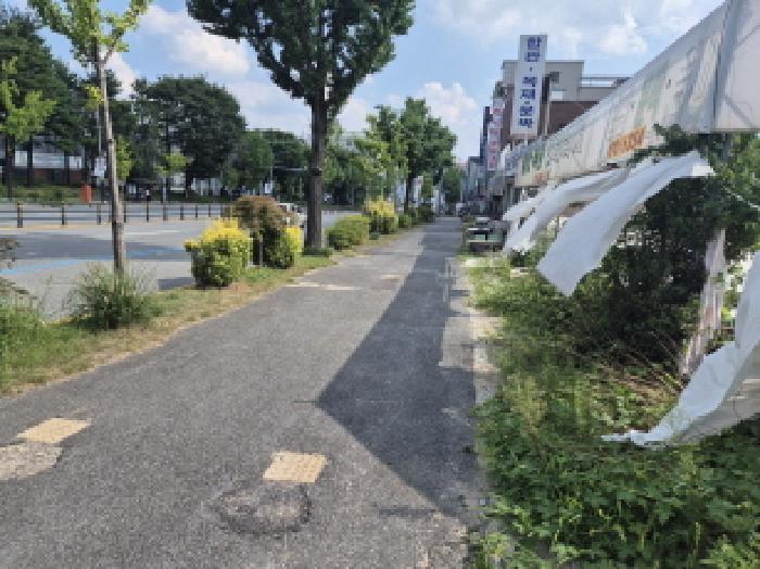 대전지법 2025타경3723-1 사진