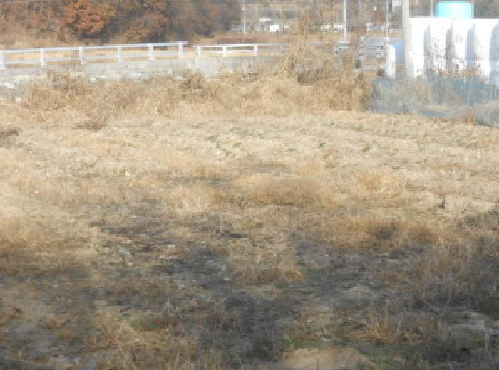 대전지법 2025타경3964-1 사진