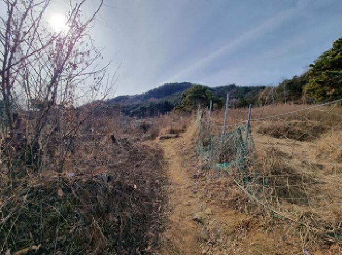 대전지법 2025타경4035-1 사진