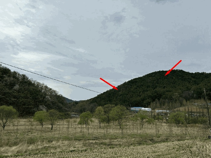 대전지법 2025타경502121-1 사진