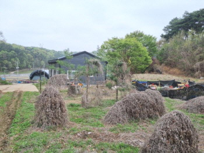 대전지법 2025타경502158-1 사진