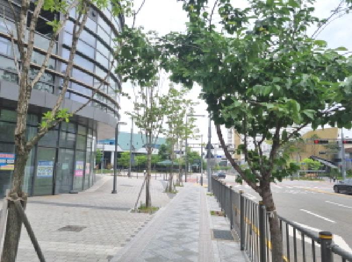 대전지법 2025타경502431-1 사진