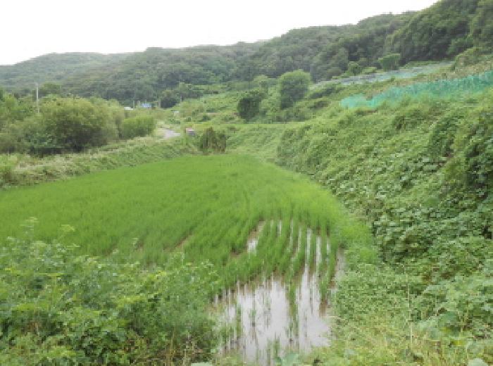 대전지법 2025타경502886-2 사진