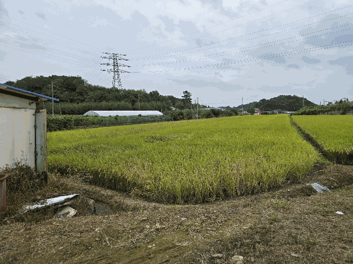 대전지법 2025타경503398-1 사진