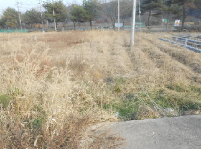 대전지법 2025타경503809-1 사진